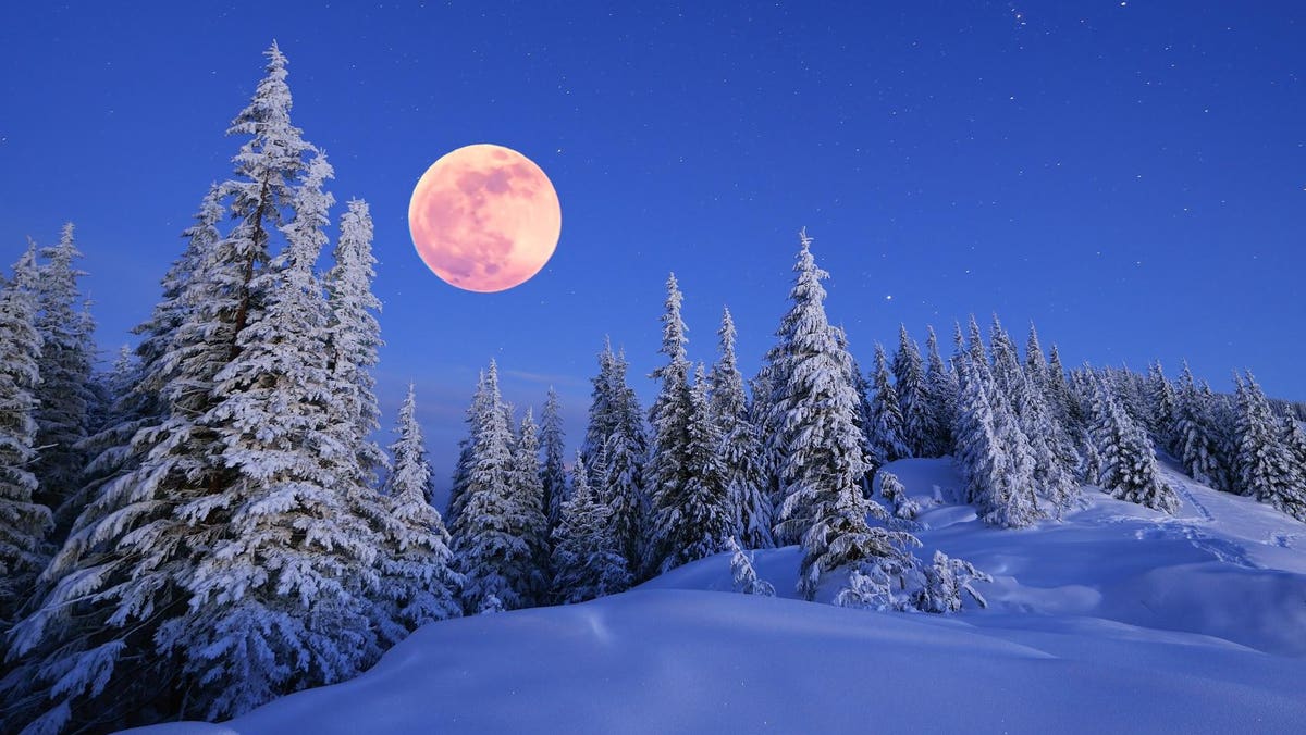 Celebrate this Full ‘Snow Moon’ with Gratitude and Heartfelt Intentions and by Embracing New Beginnings